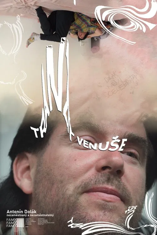 Transit of Venus poster