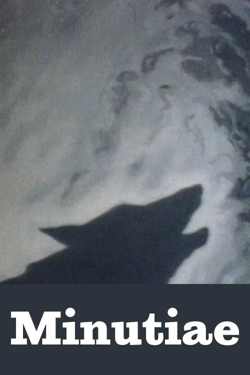 Minutiae poster
