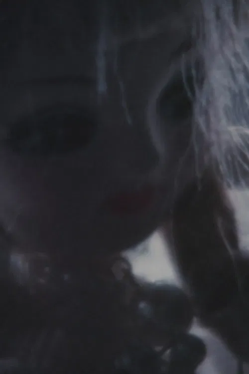 The Doll Village poster