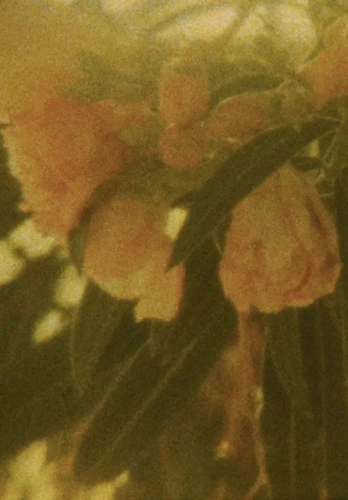 Seasons/Patterns poster