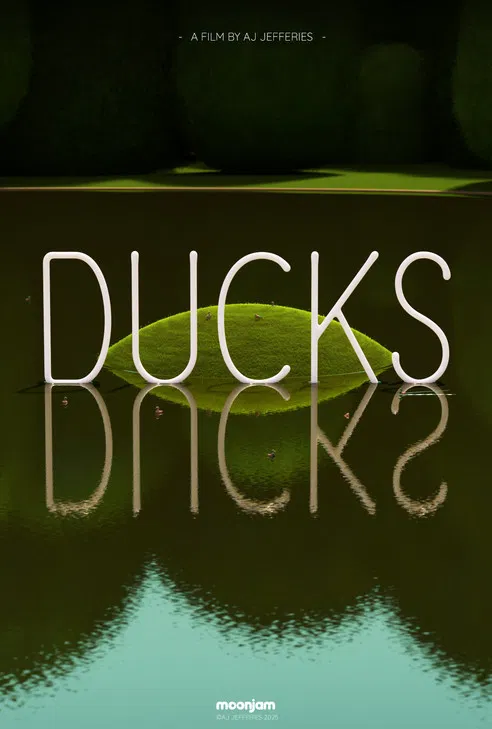 DUCKS poster