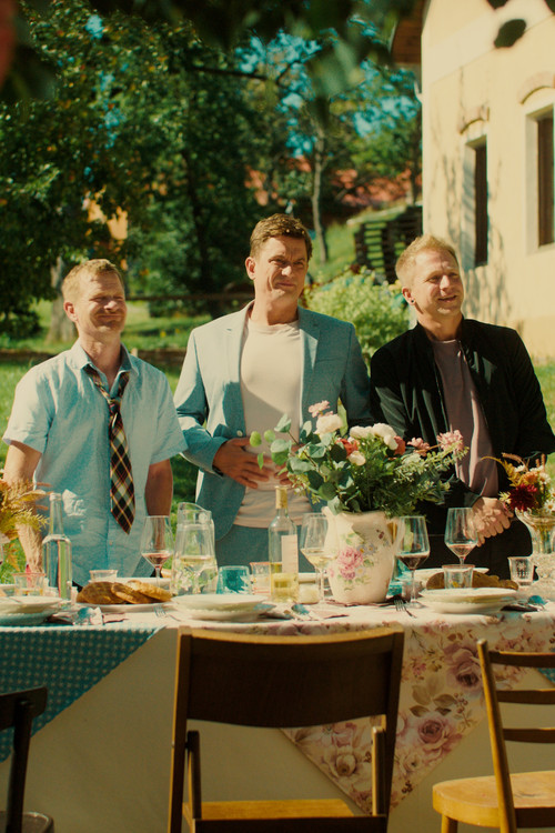 Přání k narozeninám 2 poster