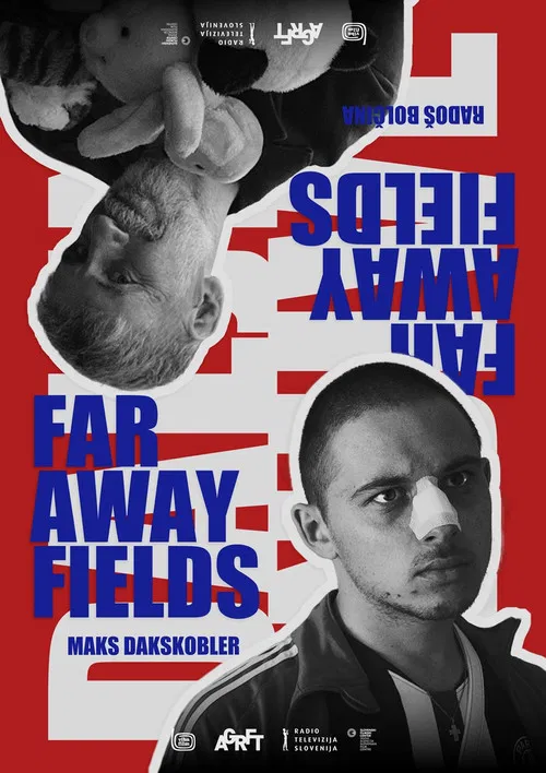 Faraway Fields poster
