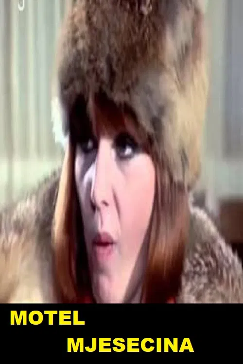 Motel Moonlight poster