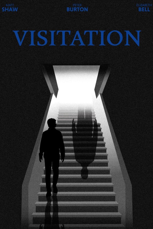 Visitation poster