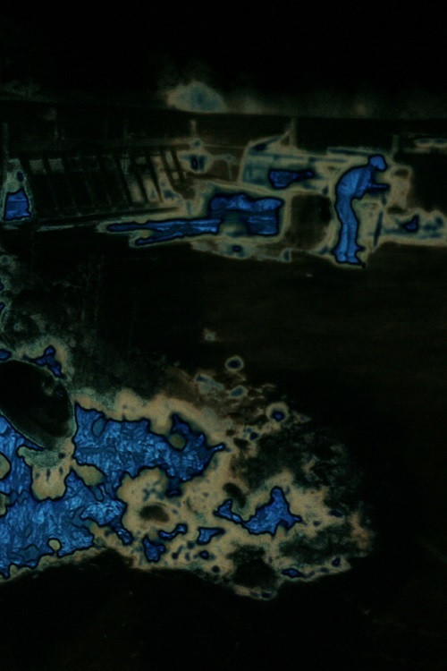 Strawberries in the Summertime poster