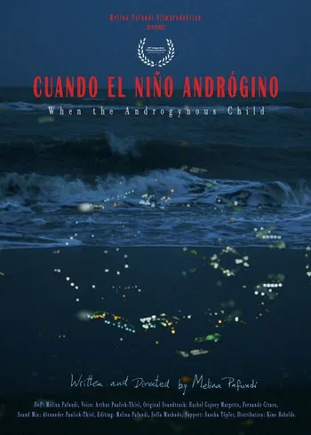 When the Androgynous Child poster