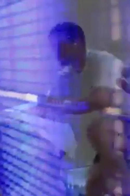 The World of the Hard and the Soft poster