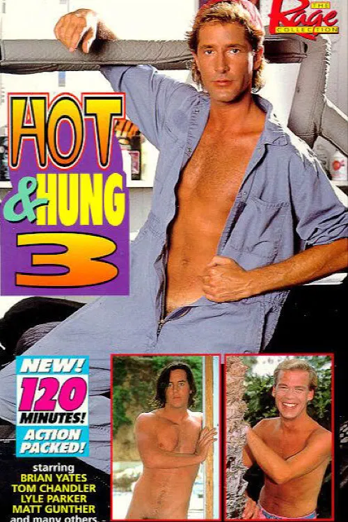 Hot & Hung 3 poster