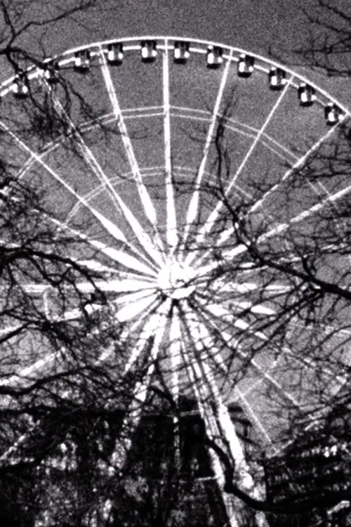 Rad und Zweige poster