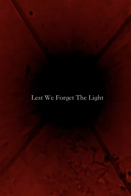 Lest We Forget The Light poster