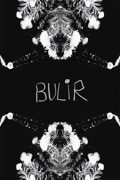 BULIR poster