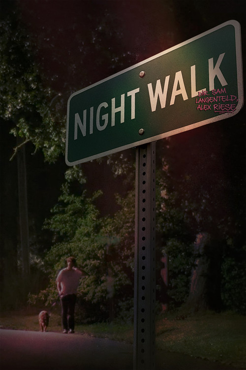 Night Walk poster
