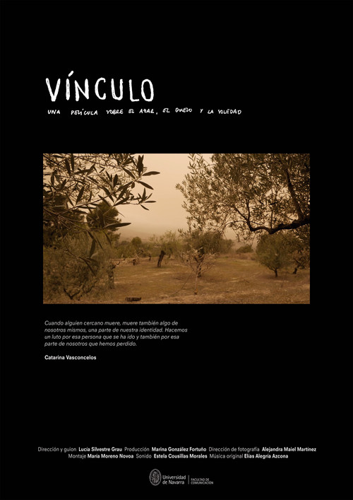 Vínculo poster
