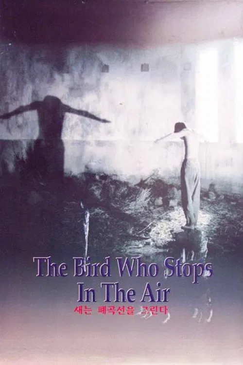 The Bird Who Stops in the Air poster