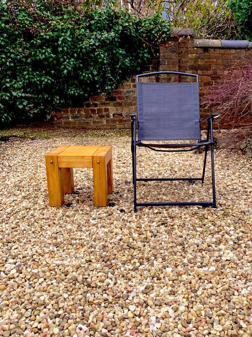 Socially Distant with Susan Calman poster