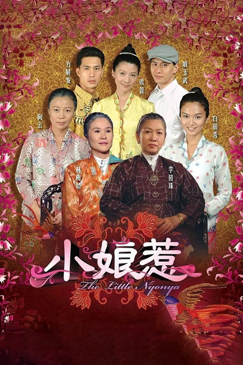 The Little Nyonya poster