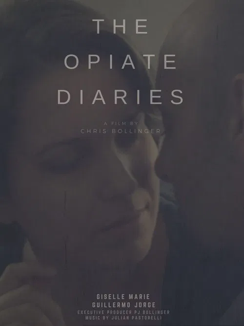 The Opiate Diaries poster