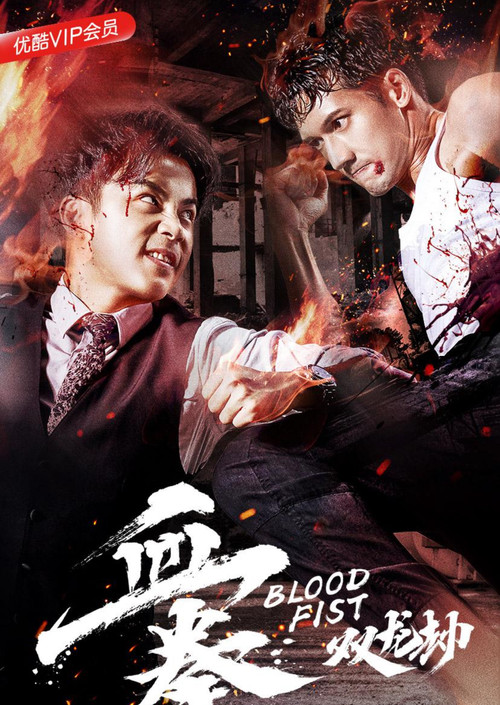 血拳之双龙劫 poster