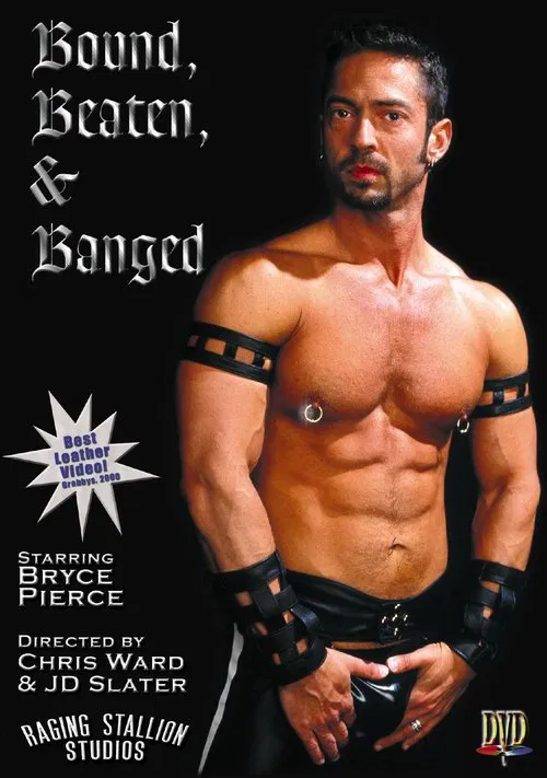 Bound, Beaten & Banged poster