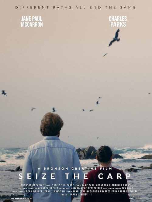 Seize the Carp poster