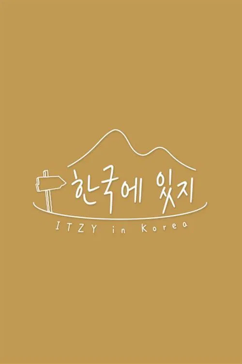 한국에 있지 poster