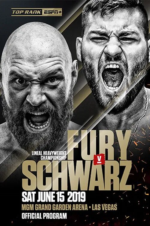 Fury vs. Schwarz poster