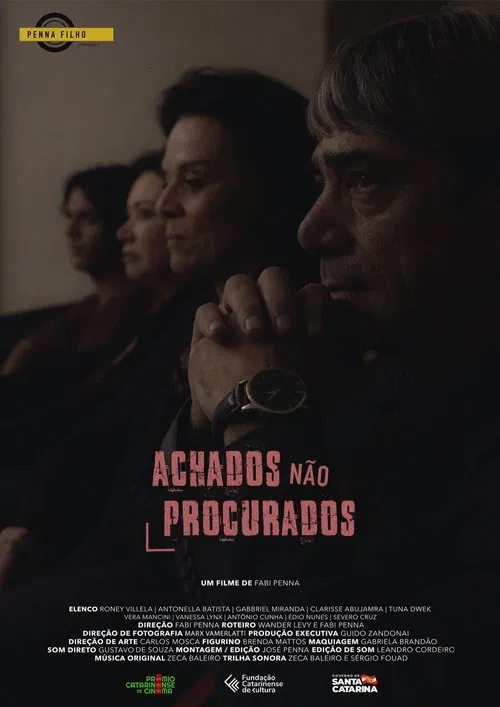 Achados Não Procurados poster
