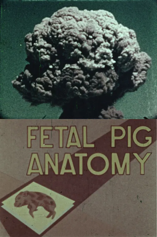 Fetal Pig Anatomy poster