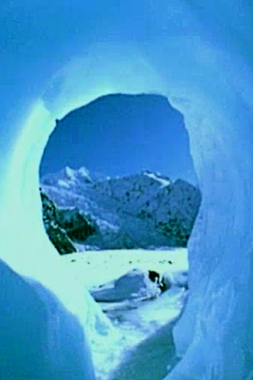 The Water Cycle poster