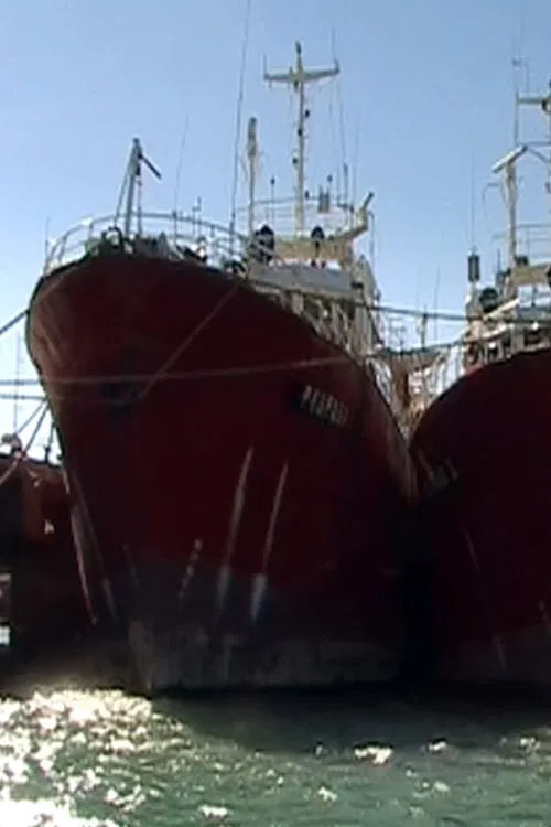 Imágenes secretas poster