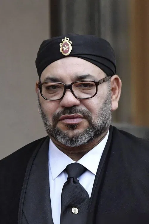 King Mohammed VI profile