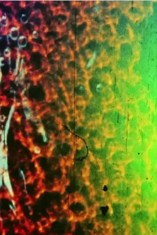 The Quilpo Dreams Waterfalls poster