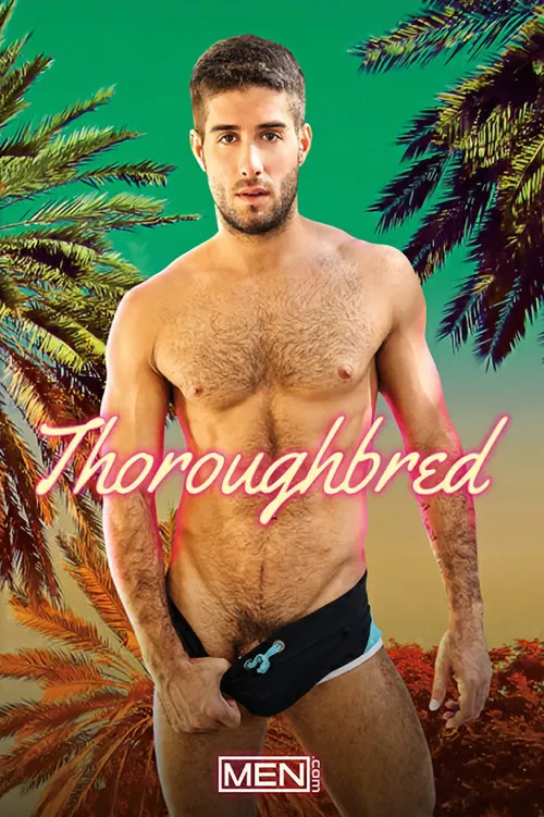 Thoroughbred poster
