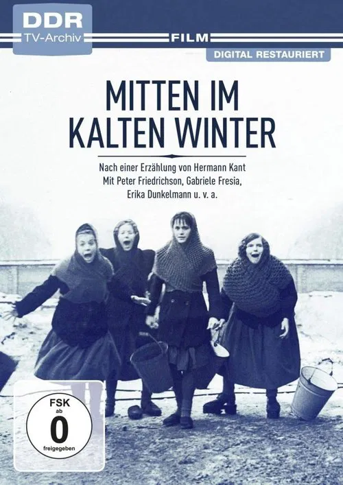 Mitten im kalten Winter poster