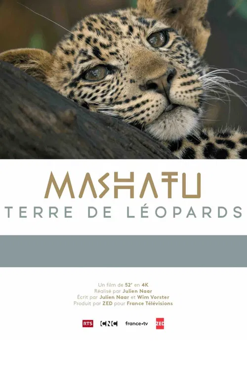 Mashatu, terre de léopards poster