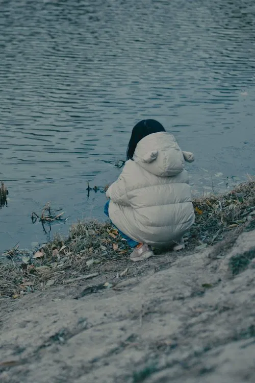 Winter Lights poster