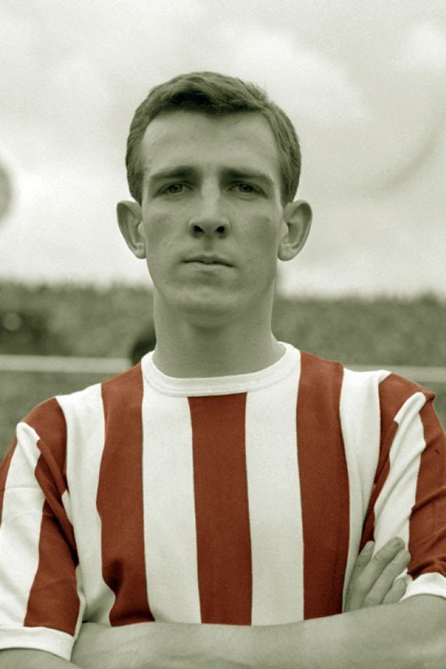 David Burnside profile