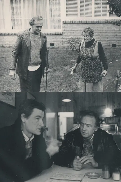 Kelvin and His Friends poster