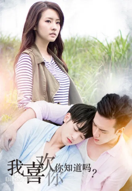 I Like You, You Know? poster