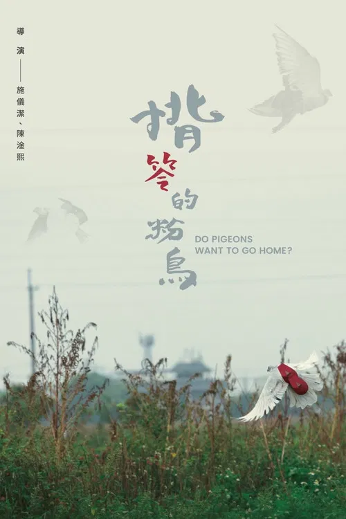 Do Pigeons Want to Go Home? poster