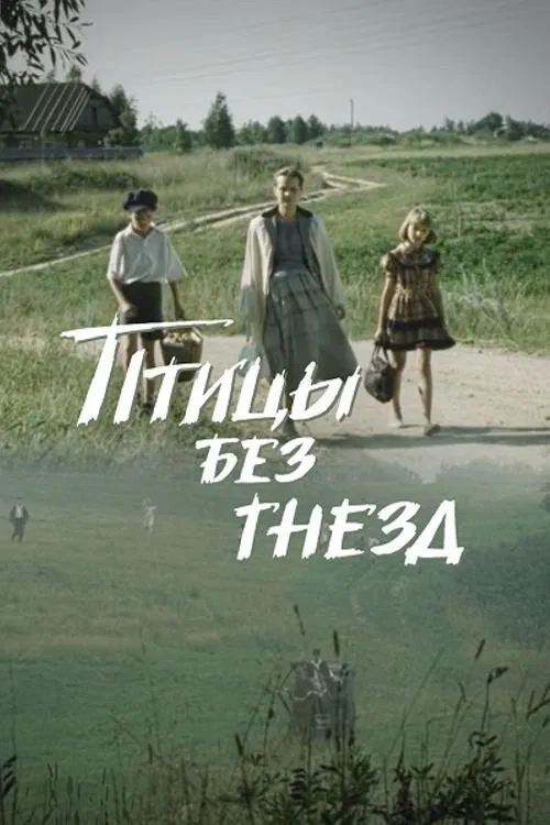 Birds Without Nests poster