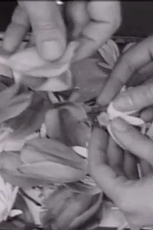 The Clouds That Touch Us Out of Clear Skies poster