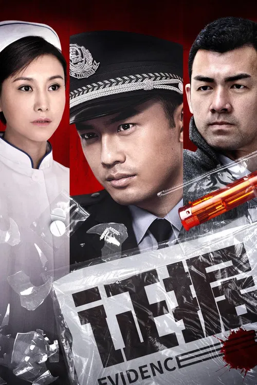 证据 poster