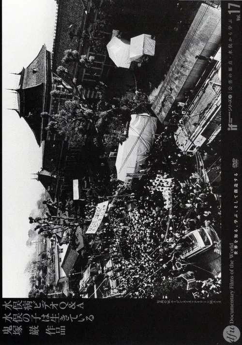 Minamata Disease Video Q&A poster