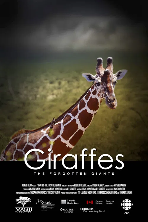 Giraffes: The Forgotten Giants poster