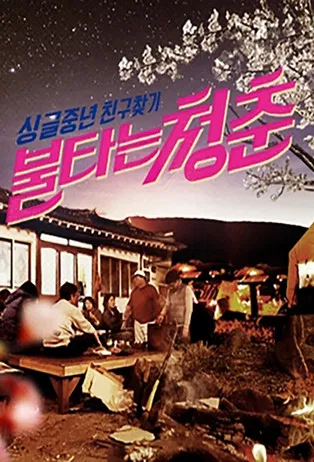 불타는 청춘 poster