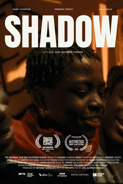 Shadow poster