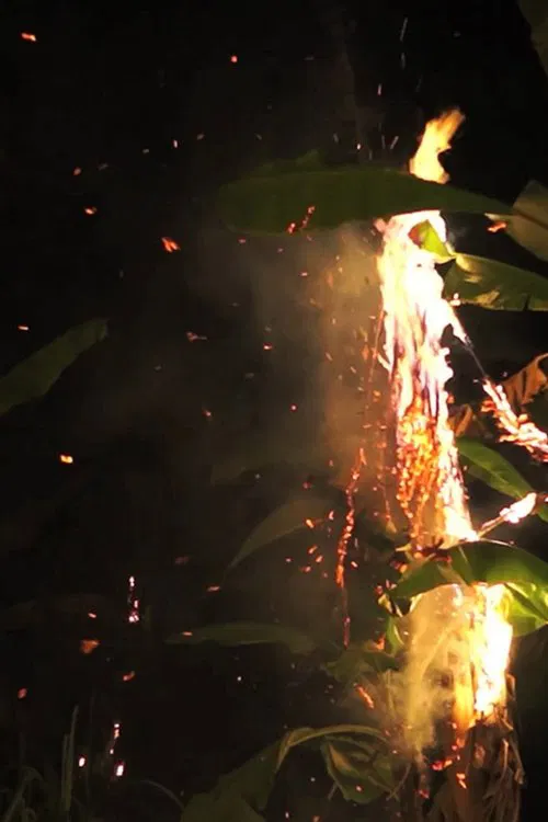 Mêkông Mechanical poster