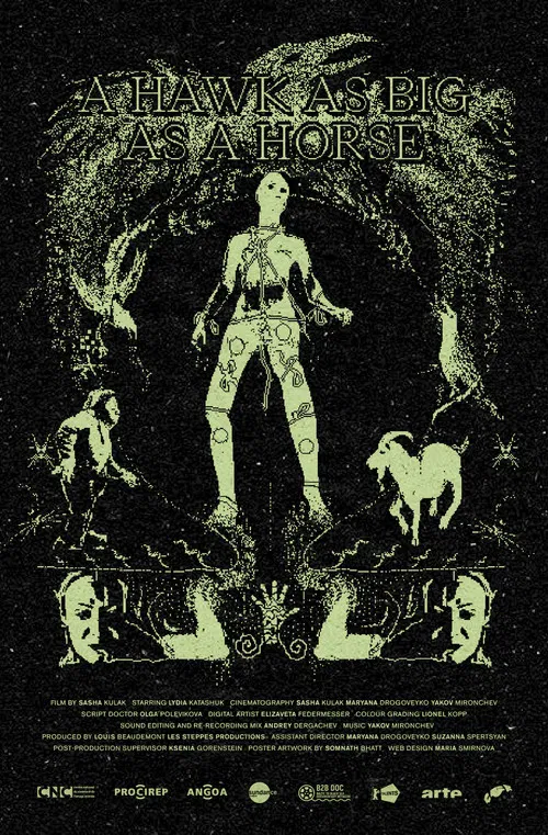 A Hawk As Big As a Horse poster